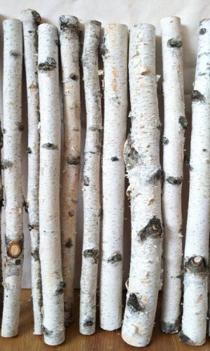 48392931_373383463411425_3473325384961884160_n