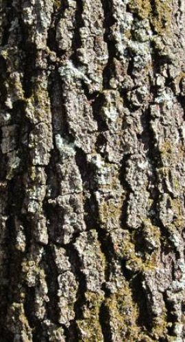 48411376_376229426281688_374470360222924800_n